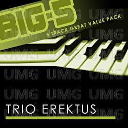 Big-5: Trio Erektus