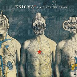T.N.T. For The Brain - Enigma