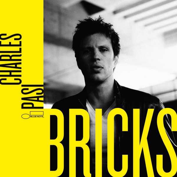 Bricks
