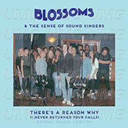 There's A Reason Why (I Never Returned Your Calls) - Blossoms, The Sense of Sound Singers