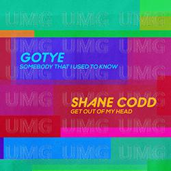 Shane Code / Gotye mix
