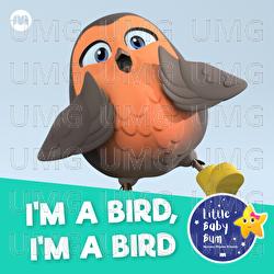 I'm a Bird, I'm a Bird