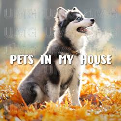 Pets In My House