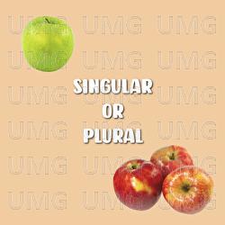 Singular Or Plural