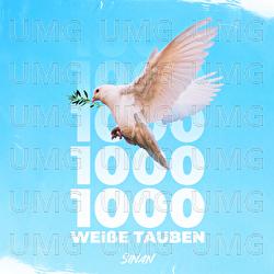 1000 Weiße Tauben