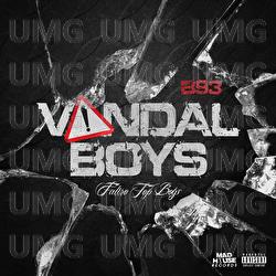 Vandal Boys
