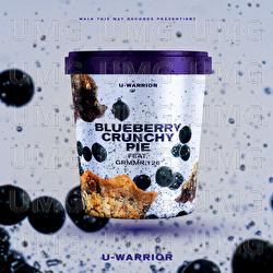 Blueberry Crunchy Pie
