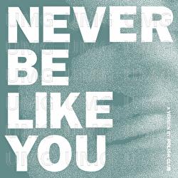 Never Be Like You
