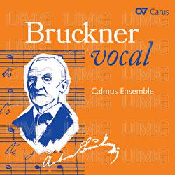 Bruckner: Du bist wie eine Blume, WAB 64