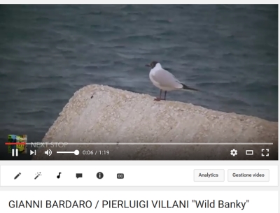 Gianni Bardaro & Pierluigi Villani: il video (girato a Bari) di "Wild Banky"