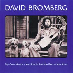 My Own House / You Should See The Rest Of The Band - David Bromberg