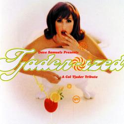 Dave Samuels Presents Tjader-Ized (A Tribute To Cal Tjader) - Dave Samuels