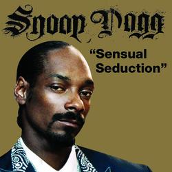 Sensual Seduction - Snoop Dogg, Robyn