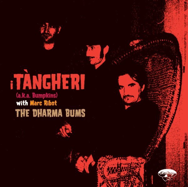 The Dharma Bums - i T&agrave;ngheri