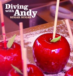 Sugar Sugar - Diving With Andy