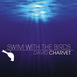 Swim With The Birds - David Charvet