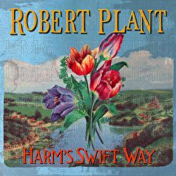 Harm's Swift Way - Robert Plant