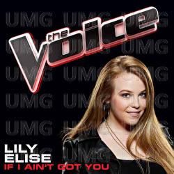 If I Ain't Got You - Lily Elise