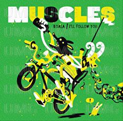 Koala - Muscles