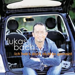 Ich hab's doch nicht so gemeint - Lukas Bach