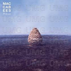 Pelican - The Maccabees