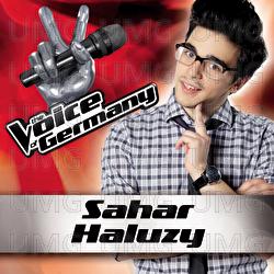 Teenage Dirtbag - Sahar Haluzy