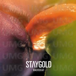 Backseat - Staygold, Spank Rock, Damian Adore