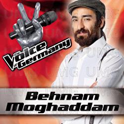 Hurt - Behnam Moghaddam