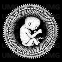 Savia - Soen