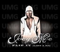 Flip It (Like A DJ) - Joey Moe