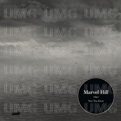 Now You Know - Marvel Hill