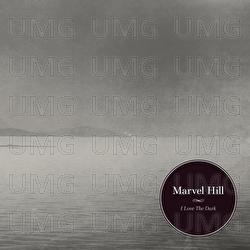 I Love The Dark - Marvel Hill