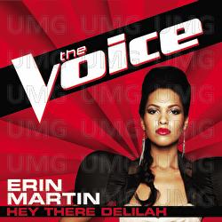 Hey There Delilah - Erin Martin