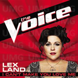I Can't Make You Love Me - Lex Land