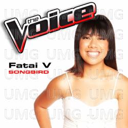 Songbird - Fatai V