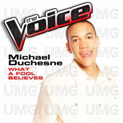 What A Fool Believes - Michael Duchesne