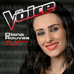 Mr. Know It All - Diana Rouvas
