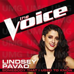 Somebody That I Used To Know - Lindsey Pavao