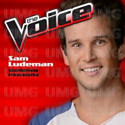 Summer Paradise - Sam Ludeman