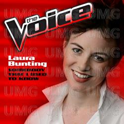 Somebody That I Used To Know - Laura Bunting