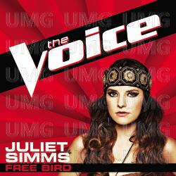 Free Bird - Juliet Simms