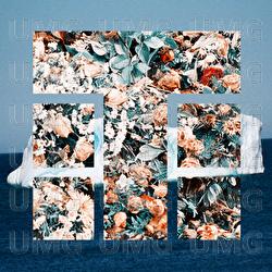 L&auml;hestymiskieloja - Teflon Brothers