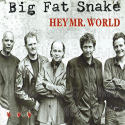 Hey Mr. World - Big Fat Snake