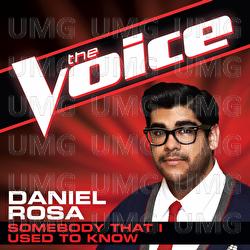 Somebody That I Used To Know - Daniel Rosa