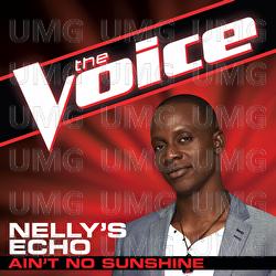 Ain't No Sunshine - Nelly's Echo
