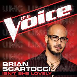 Isn't She Lovely - Brian Scartocci