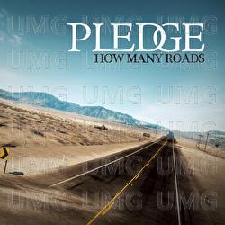 How Many Roads - Pledge