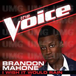 I Wish It Would Rain - Brandon Mahone