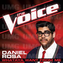 Whataya Want From Me - Daniel Rosa