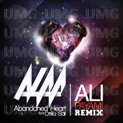 Abandoned Heart - alaa El-Bechlaoui